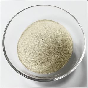 Ferrous Sulphate Monohydrate